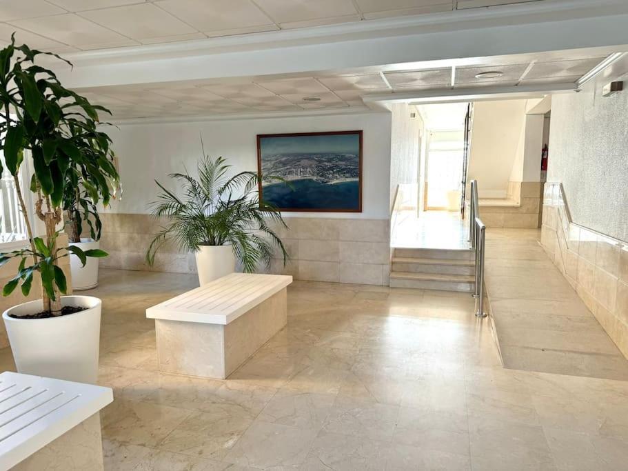 Campoamor Edificio Rhin Orihuela