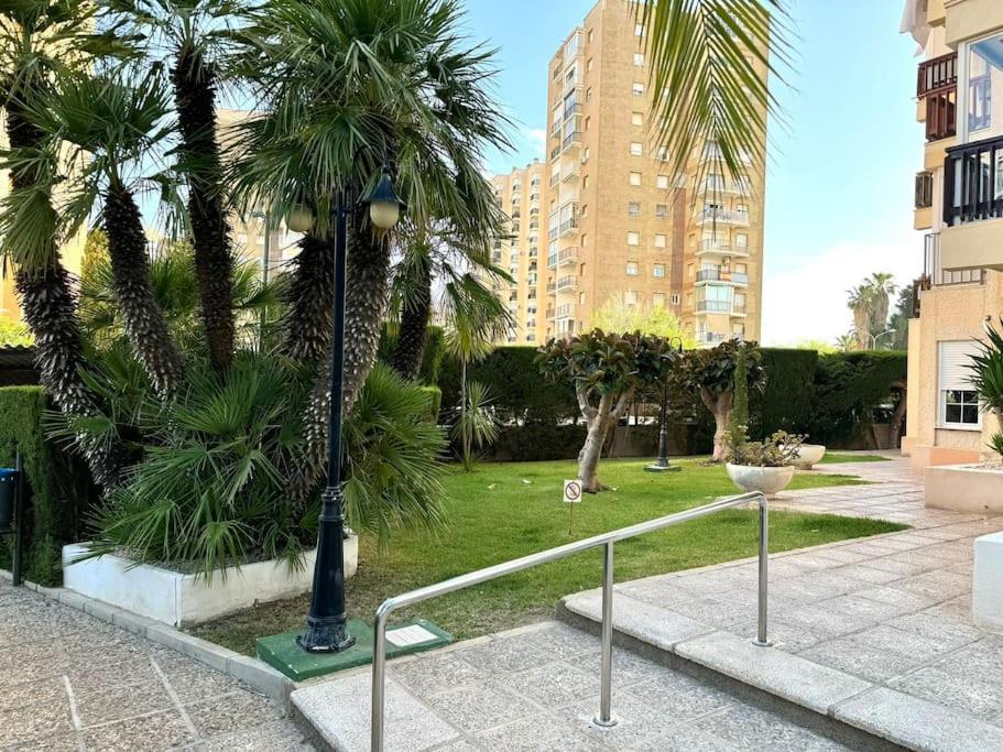 Campoamor Edificio Rhin Apartment *
