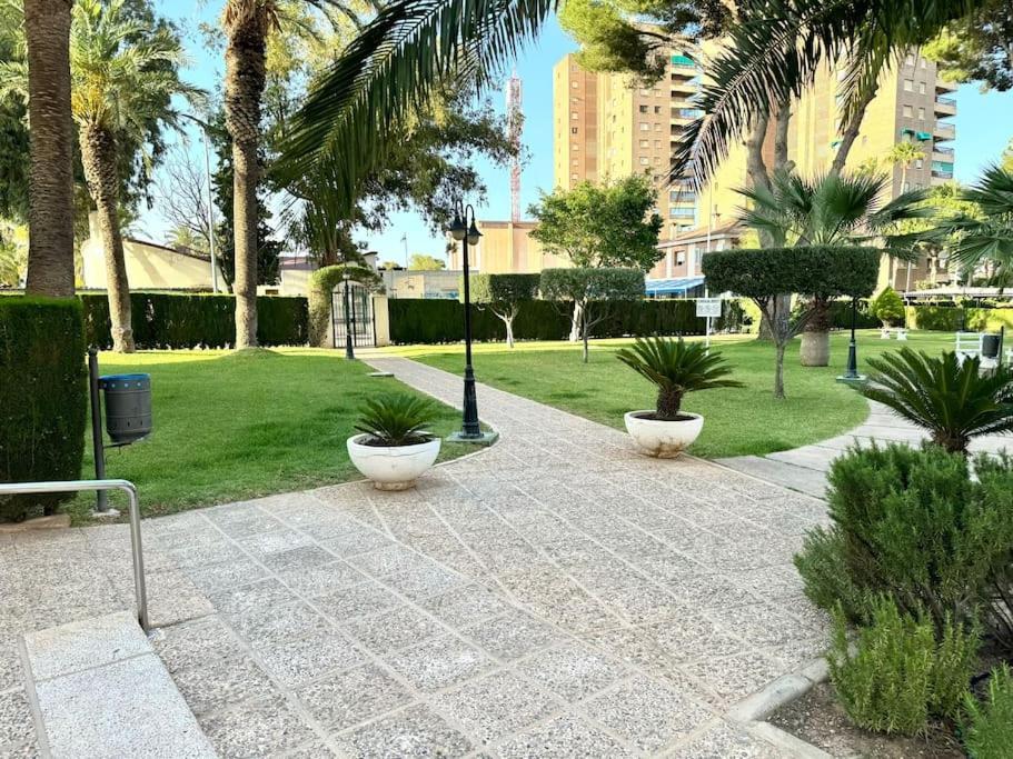 Apartment Campoamor Edificio Rhin *