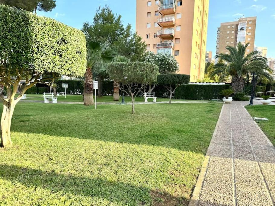 Campoamor Edificio Rhin Apartment Orihuela