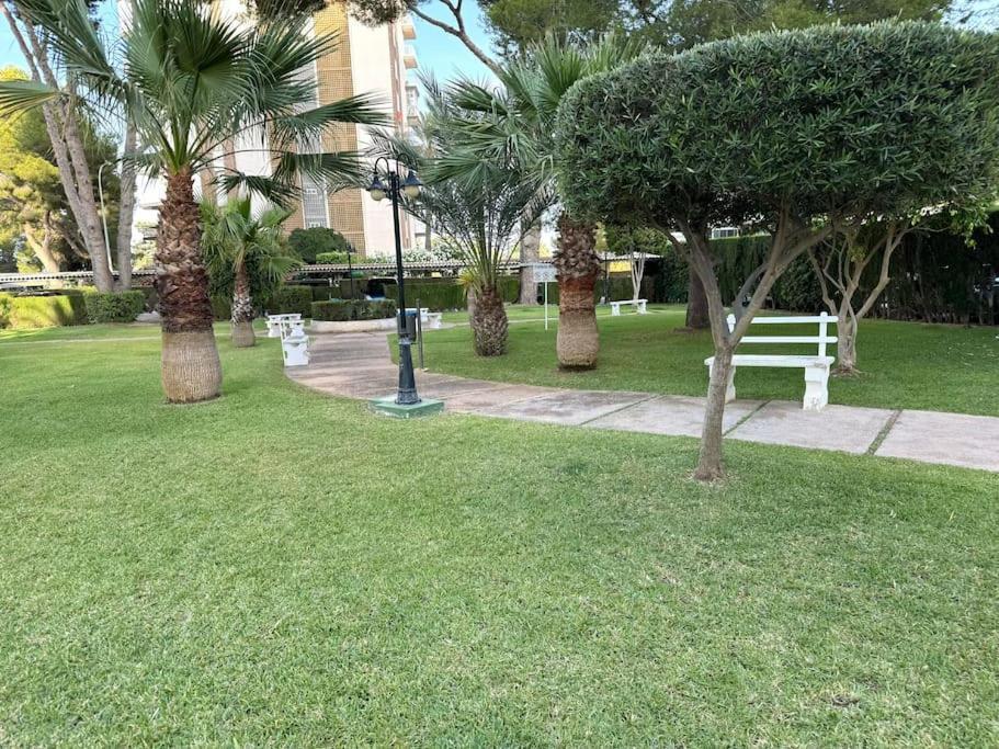 Campoamor Edificio Rhin Apartment Orihuela